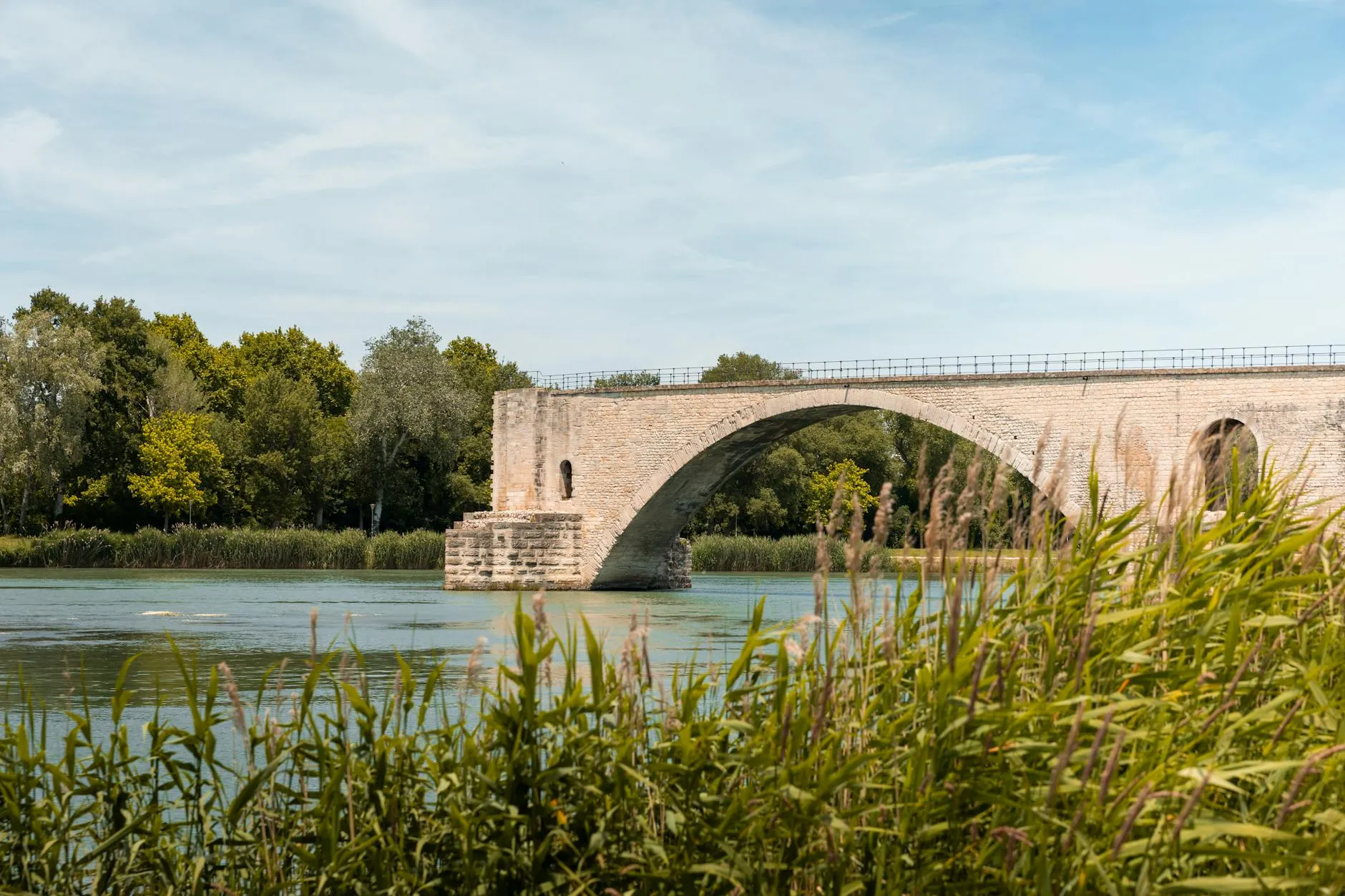 Le Pont Saint-Bénézet vu depuis les berges de l'île de la Barthelasse