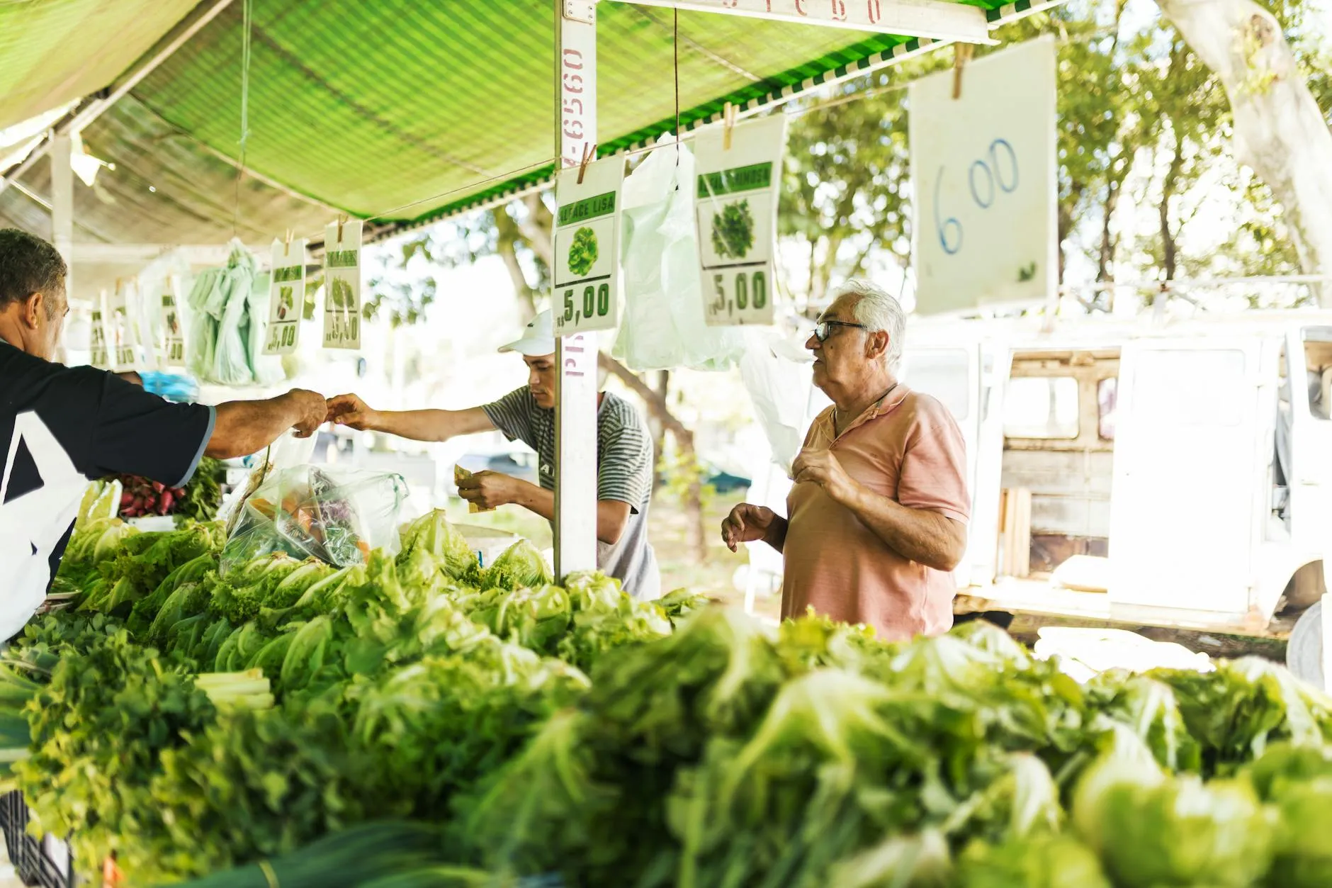 Étals colorés du marché provençal de Vaison-la-Romaine sous le soleil du matin
