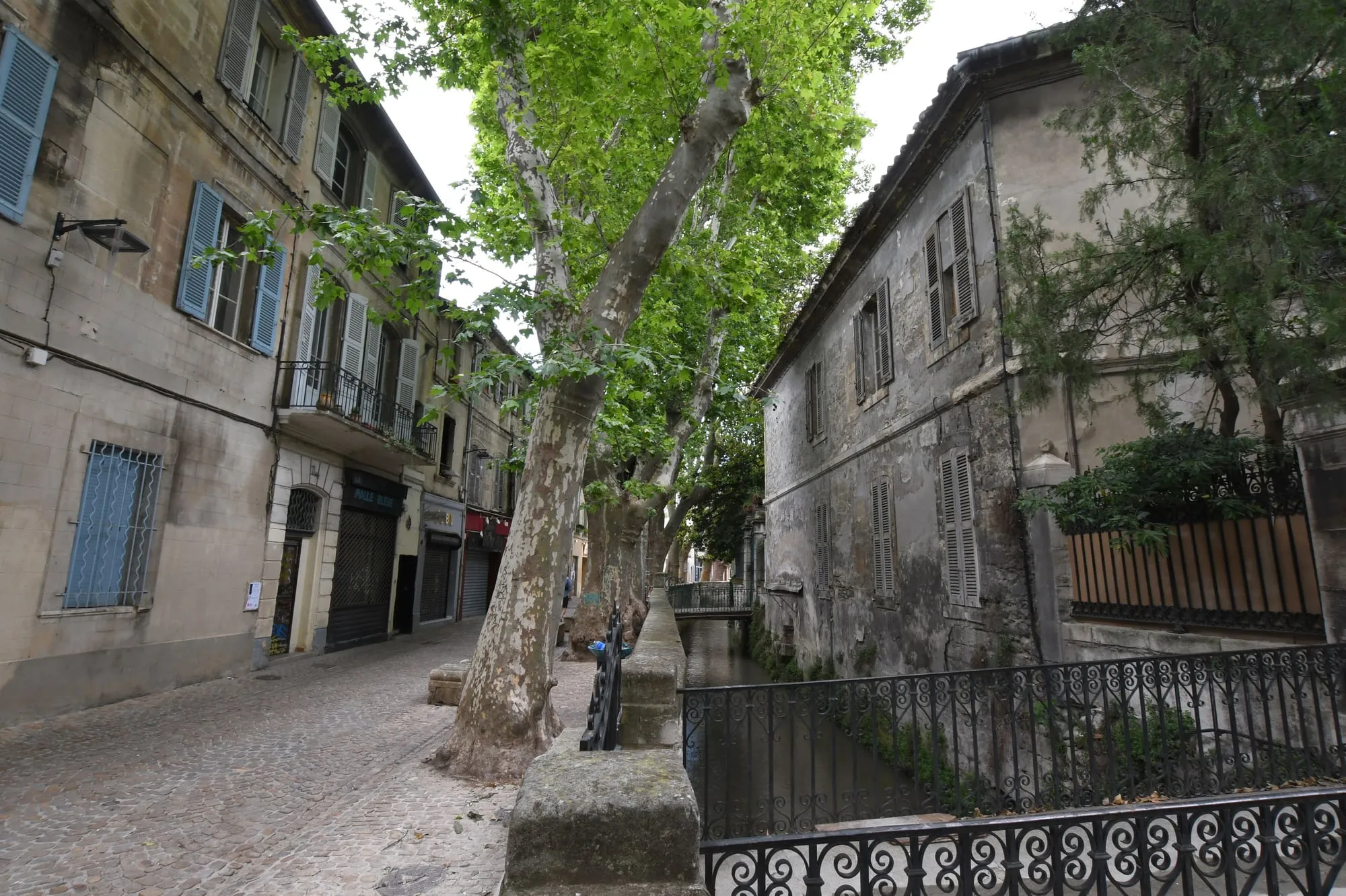La rue des Teinturiers et son canal bordé de platanes à Avignon